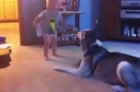 Baby and Husky Have Deep Conversation