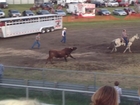 Video shows bull on rampage at county fair