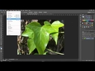 Adobe Photoshop CS6 Tutorial 4 - Three Picture Triptych