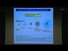 Recent Studies of the Effects of Aerosols on Climate in East Asia: Observations and Modeling