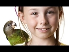 What Are the Best Birds for Kids? | Pet Bird