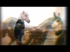 The Sad & Beautiful World of Sparklehorse (Trailer 1)