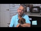 SNN: Honor Animal Rescue strives to reach yearly goal