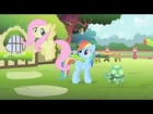 My Little Pony: Friendship is Magic - Find a Pet Song