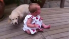 Golden Retriever Puppy Loves Baby