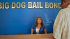 Big Dog Bail Bonds Video - Los Angeles, CA United States