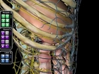 Atlas of Human Anatomy + 1-yr Access to Netter's 3D Interactive Anatomy