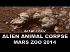 Mars Alien Animal Corpse: NASA Curiosity Coyote Anomaly: MARS ZOO 2014. 720p ArtAlienTV